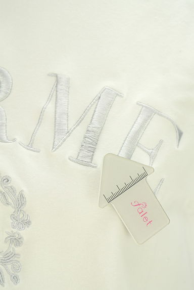 クリックで大画像表示 evelyn(エブリン)の古着「ロゴ刺繍Tシャツ(Tシャツ)」大画像5へ