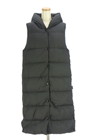 WOOL RICH（ウールリッチ）の古着「ダウンベスト」前