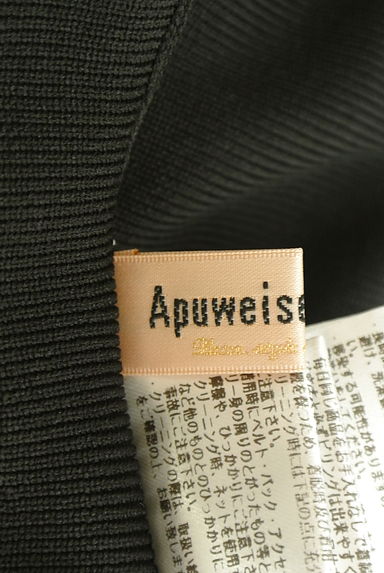 Apuweiser riche（アプワイザーリッシェ）ワンピース買取実績のブランドタグ画像