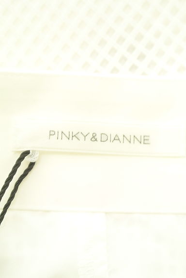 クリックで大画像表示 Pinky&Dianne(ピンキー&ダイアン)の古着「メッシュレースフレアスカート(ロングスカート・マキシスカート)」大画像6へ