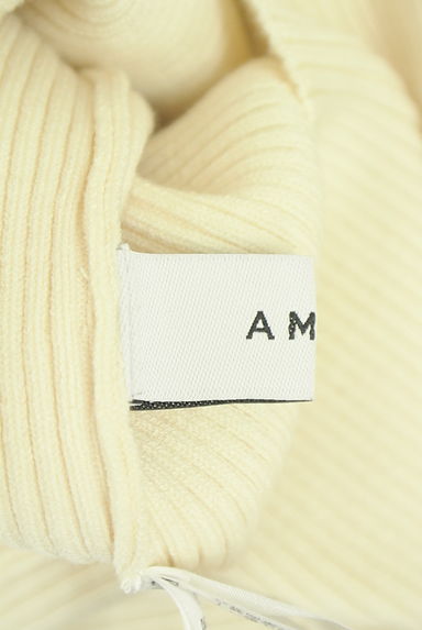 Ameri（アメリ）トップス買取実績のブランドタグ画像
